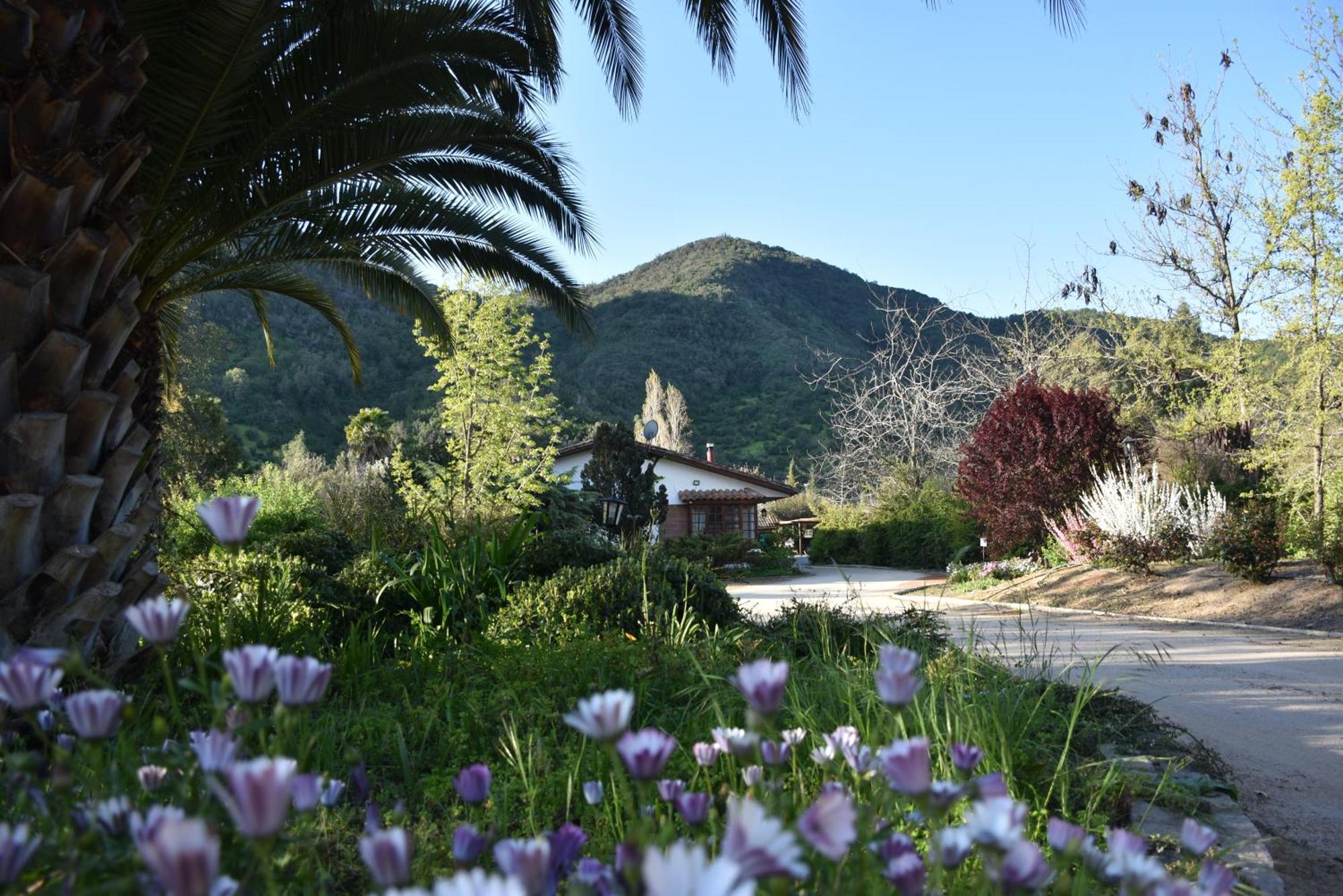 Hotel Boutique Solaz Bella Vista De Colchagua Santa Cruz Exteriér fotografie