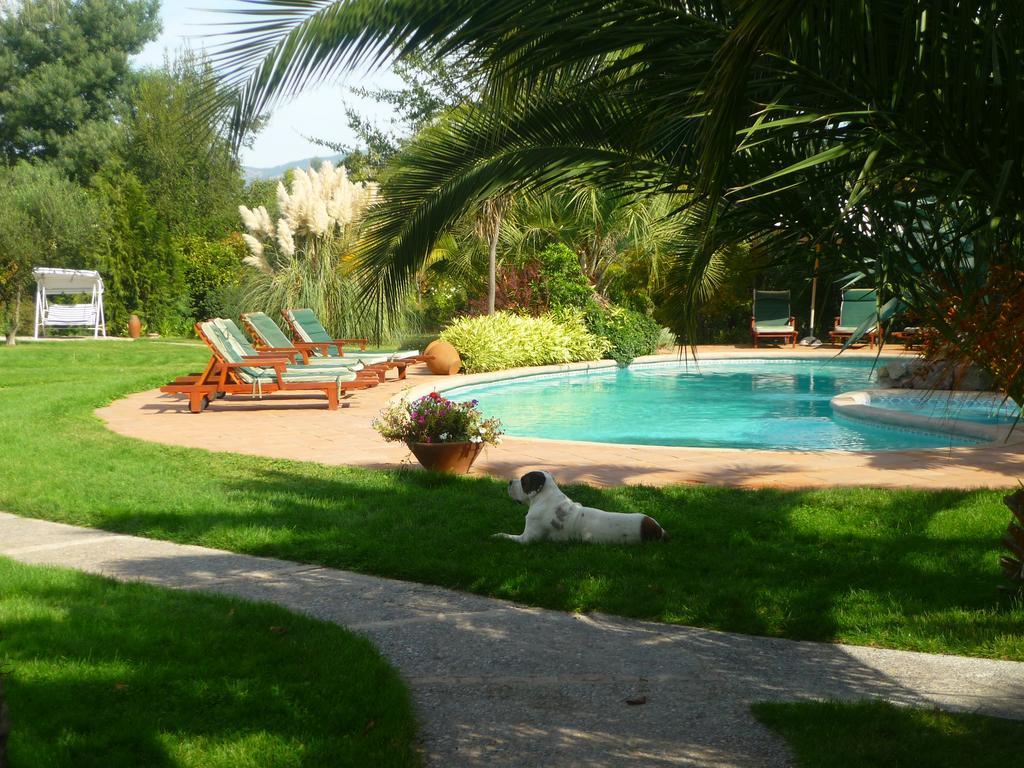 Hotel Boutique Solaz Bella Vista De Colchagua Santa Cruz Exteriér fotografie
