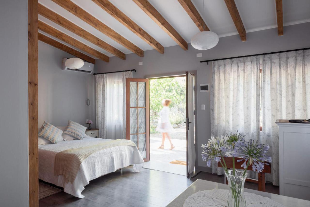 Hotel Boutique Solaz Bella Vista De Colchagua Santa Cruz Exteriér fotografie